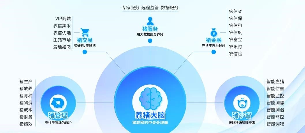 企联网 企业数字化升级的核心引擎与数字内容制作服务的融合之道